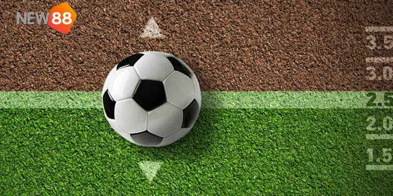 Tải Xỉu Bóng Đá Là Gì? 3 Kinh Nghiệm Hốt Trọn Bạc Nhà Cái