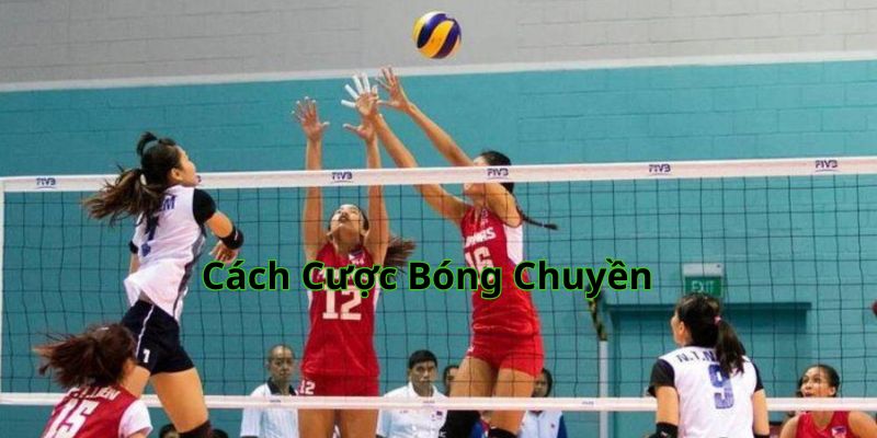 Hướng Dẫn Cách Cược Bóng Chuyền Hiệu Quả Nhất Hiện Nay